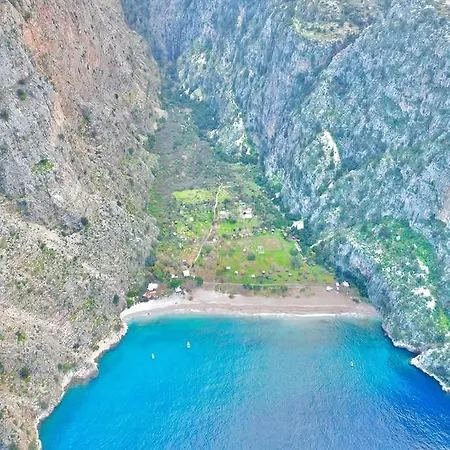 Ng Hisar * Φετιγιέ