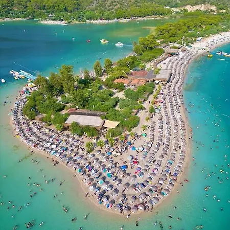 Apartament Ng Hisar *